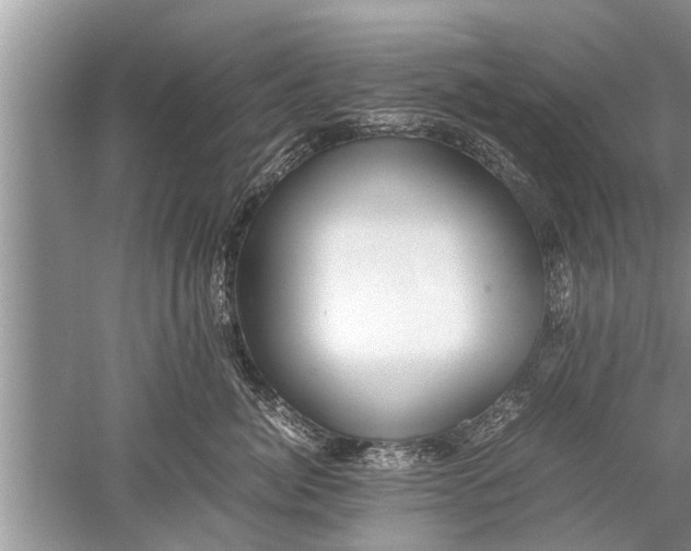 X0000052580764200507152318
