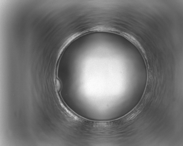 X0000052580855200507152316