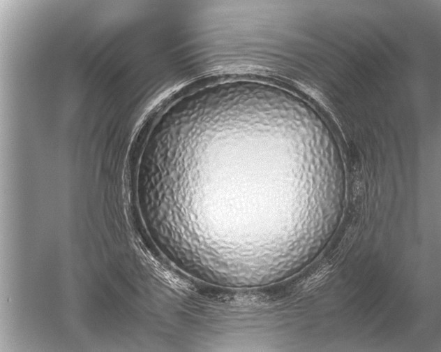 X0000052580979200507152314