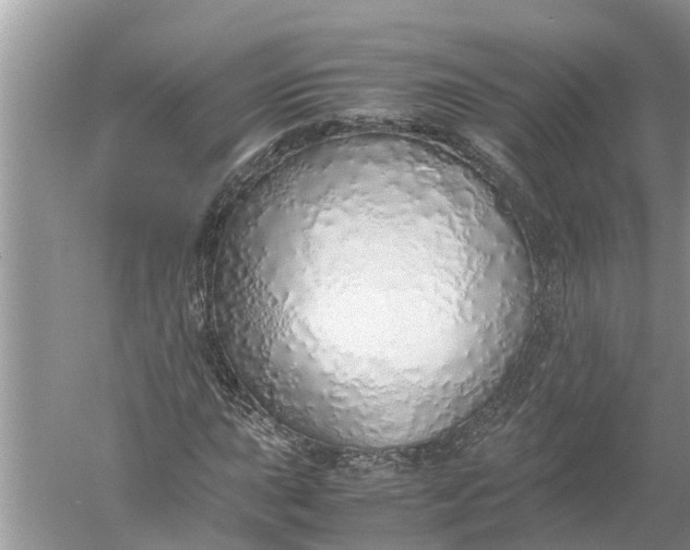 X0000052581015200507152313