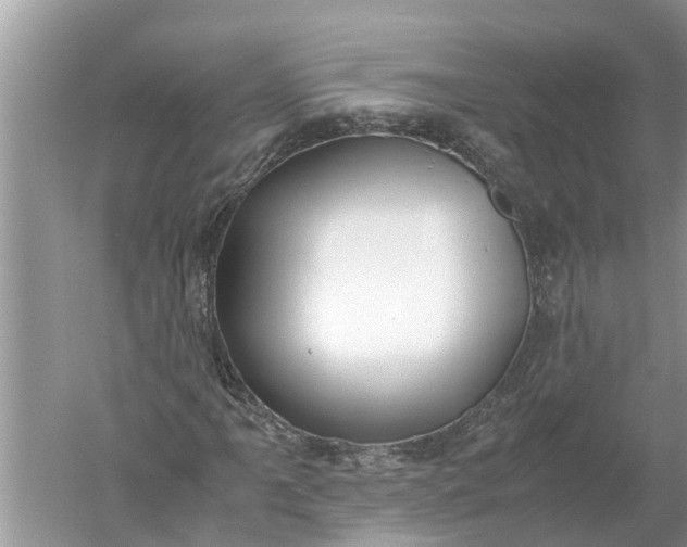X0000052581061200507152312