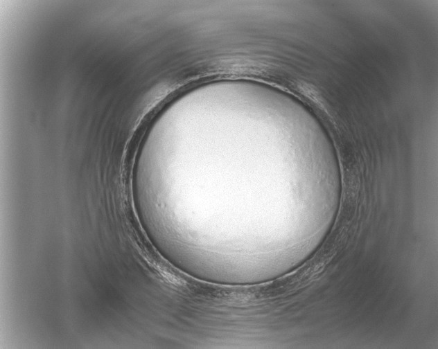 X0000052581071200507152312