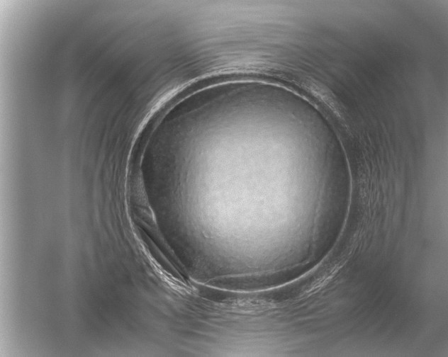 X0000052581077200507152312