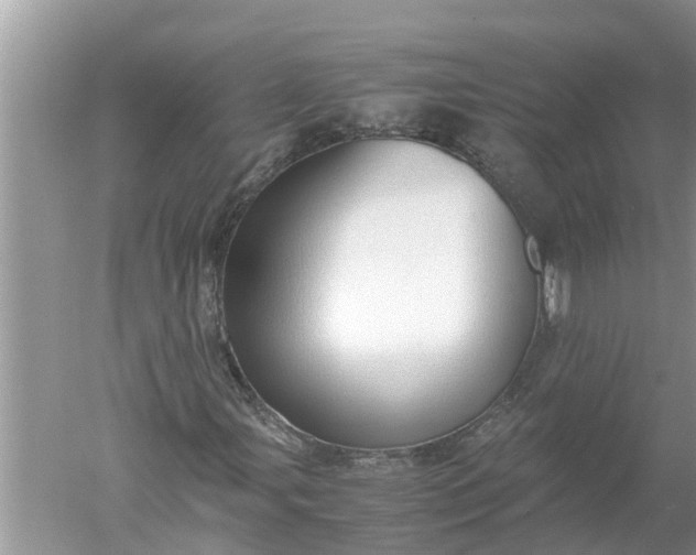 X0000052581107200507152311