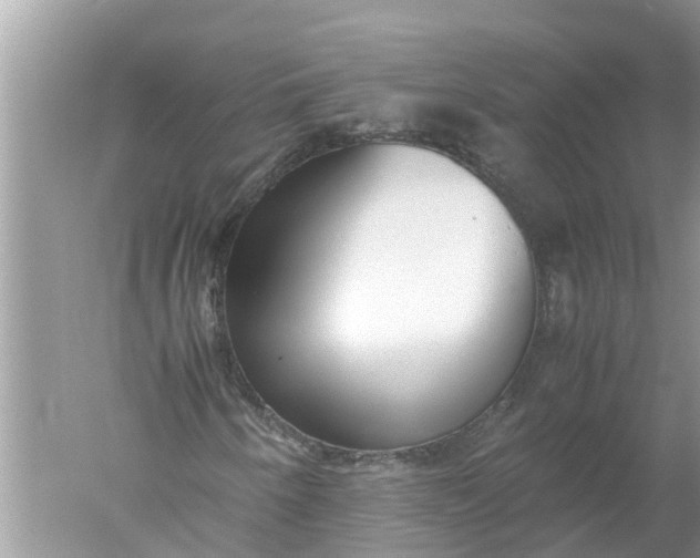 X0000052581250200507152309