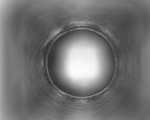 X0000052581261200507152309