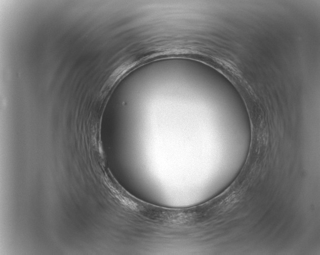 X0000052581273200507152309
