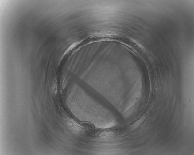 X0000052581306200507152308