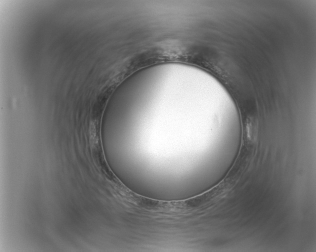 X0000052581347200507152307