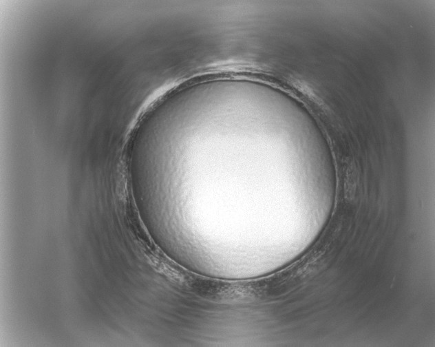 X0000052581358200507152307