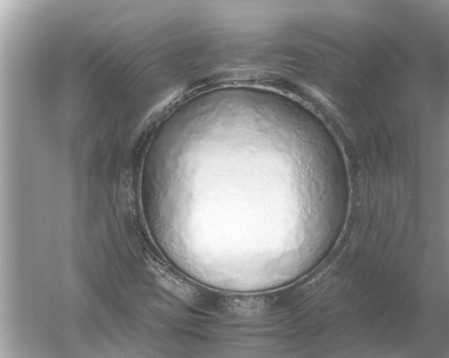X0000052581403200507152306