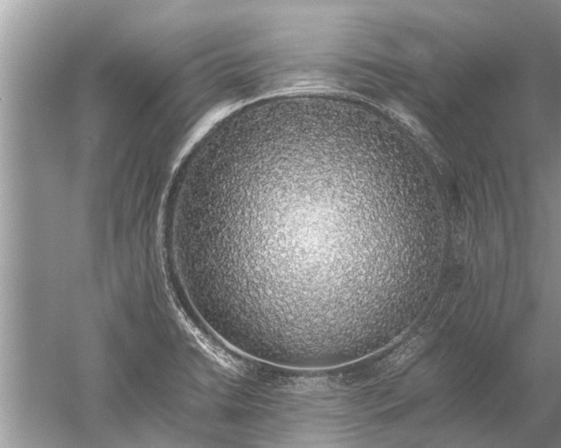 X0000052581422200507152306