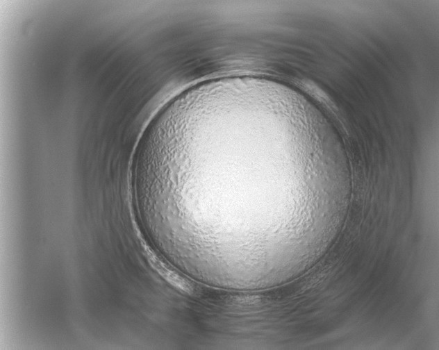 X0000052581431200507152307