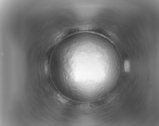 X0000052581444200507152306