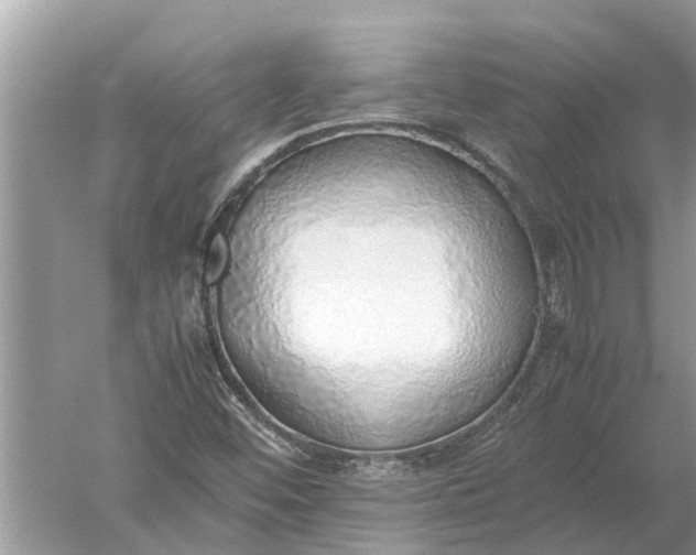 X0000052581452200507152306