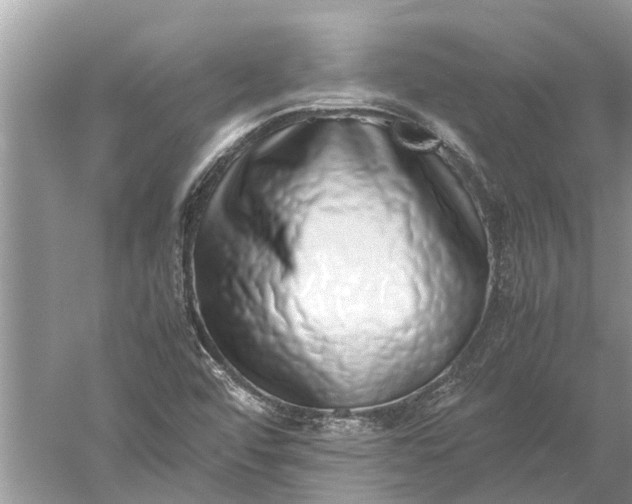 X0000052581456200507152306