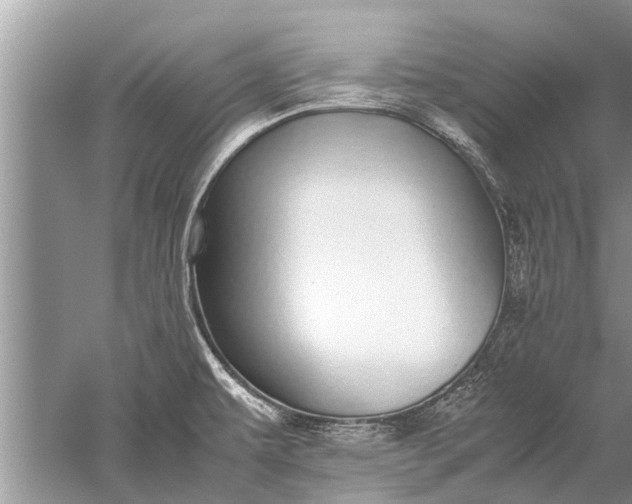 X0000052581479200507152305