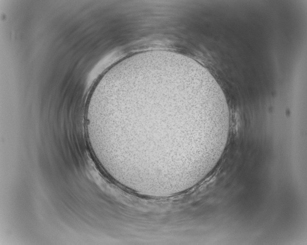 X0000052580004200507221555