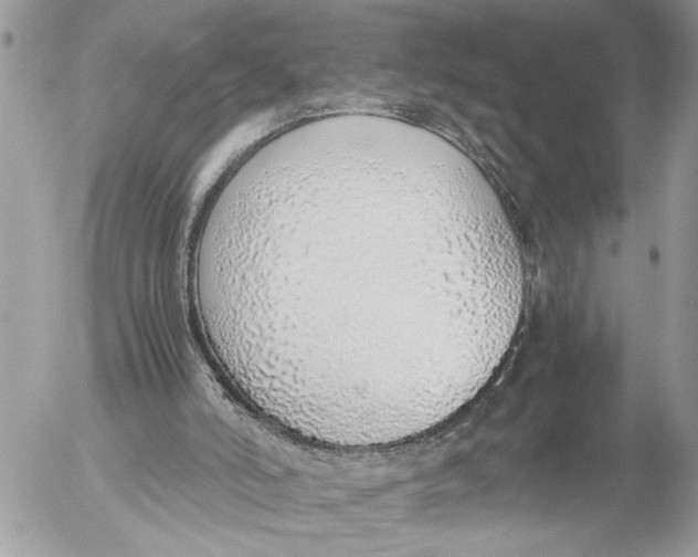 X0000052580006200507221555