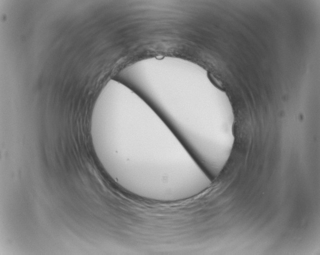 X0000052580040200507221554