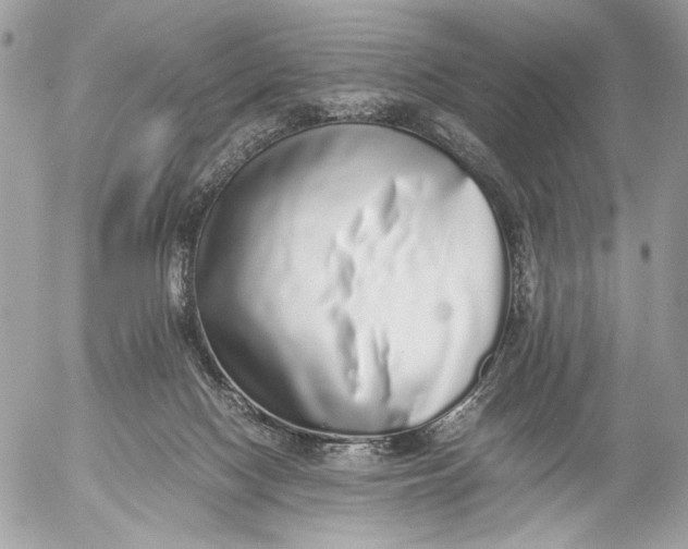X0000052580074200507221554