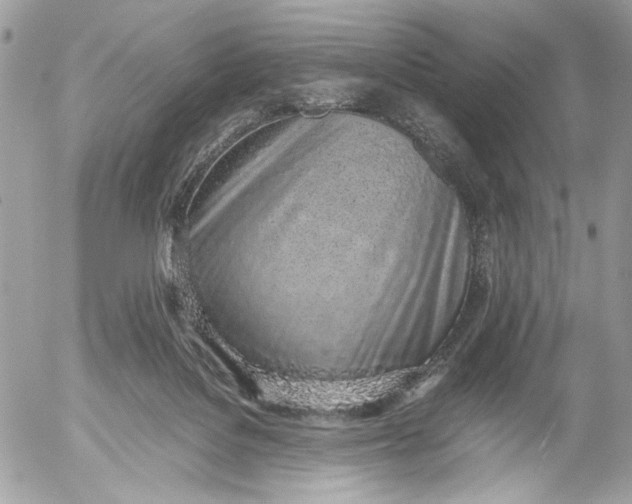 X0000052580076200507221554