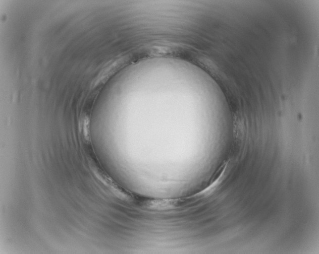 X0000052580094200507221554