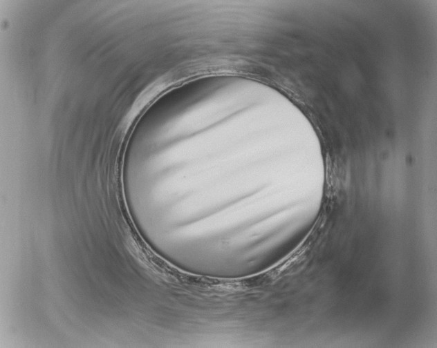 X0000052580099200507221553