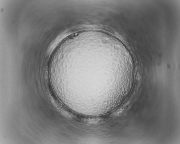 X0000052580103200507221553