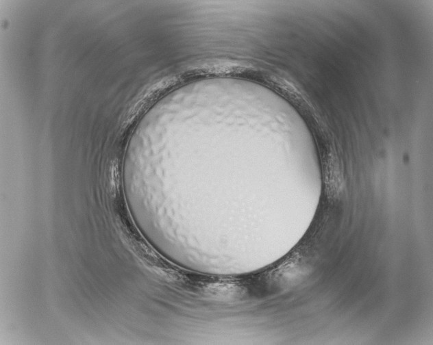 X0000052580119200507221553