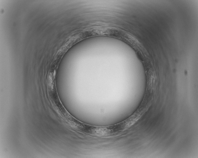 X0000052580121200507221553