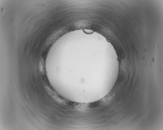 X0000052580138200507221553