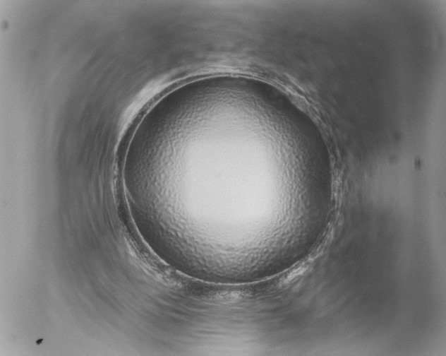 X0000052580152200507221552