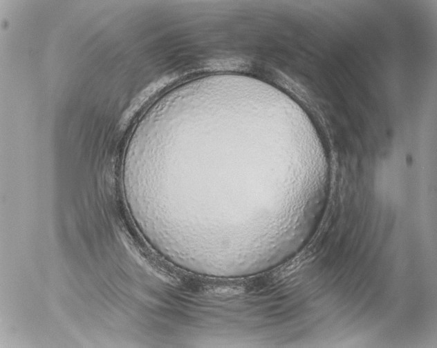 X0000052580155200507221552
