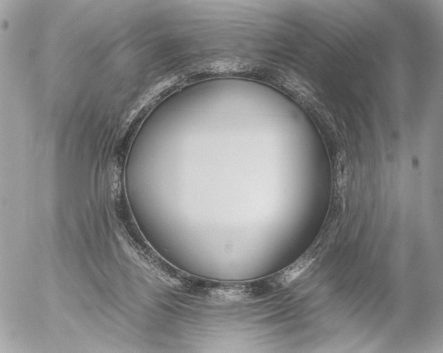 X0000052580164200507221552