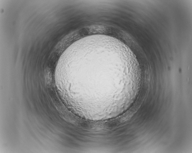 X0000052580173200507221552