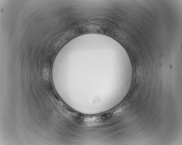 X0000052580177200507221552
