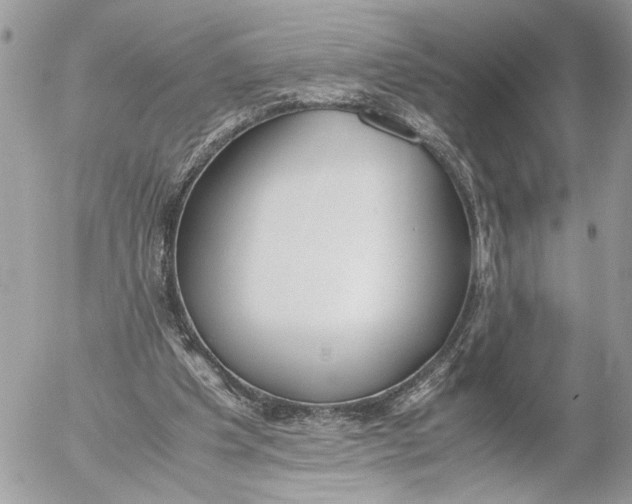 X0000052580201200507221552