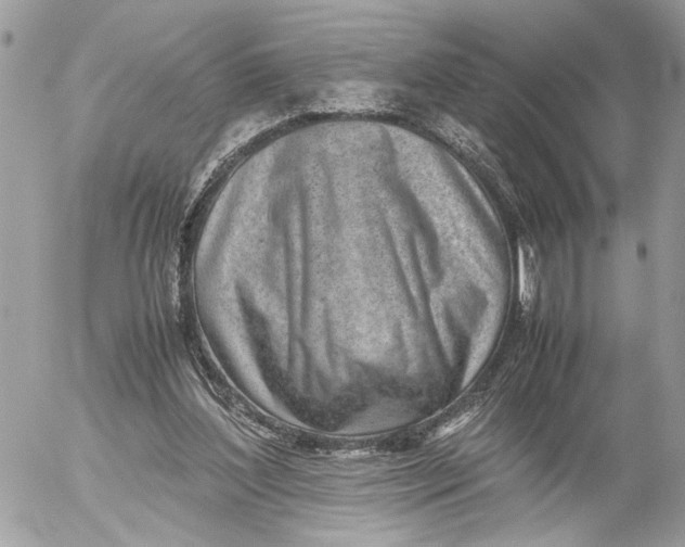 X0000052580204200507221552