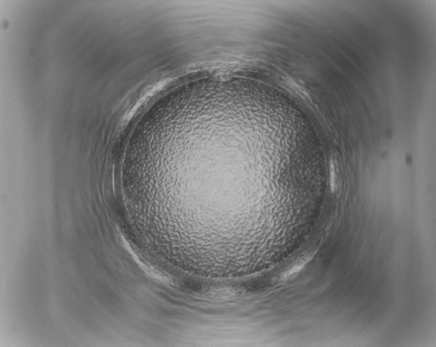 X0000052580205200507221552