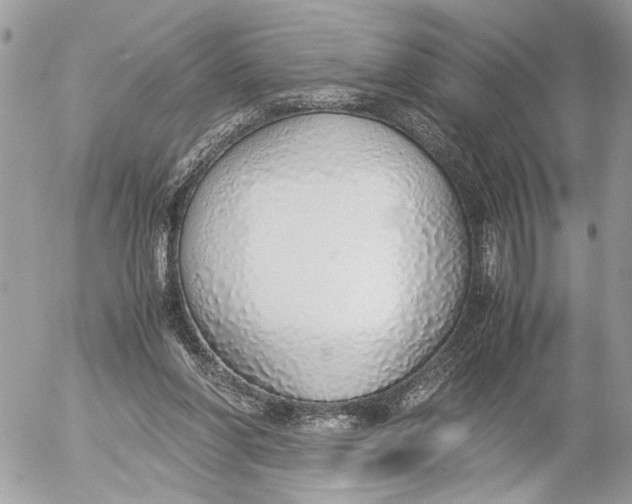 X0000052580206200507221552