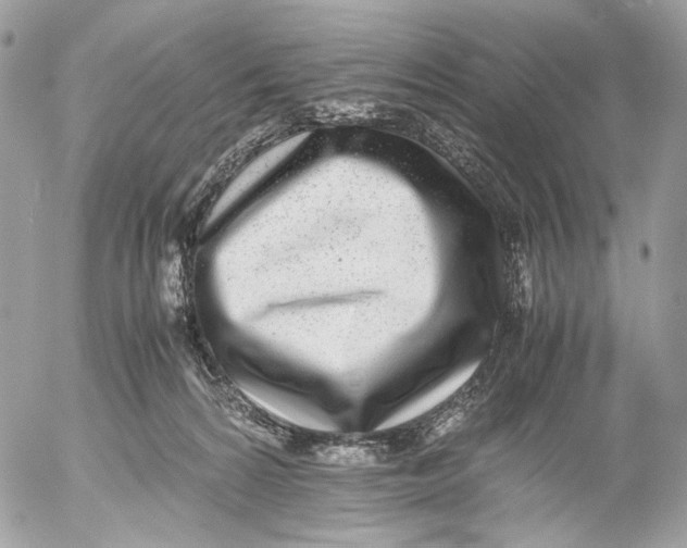 X0000052580224200507221551
