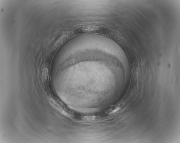X0000052580227200507221551