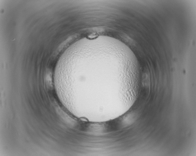 X0000052580238200507221551
