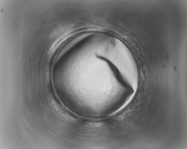 X0000052580247200507221550