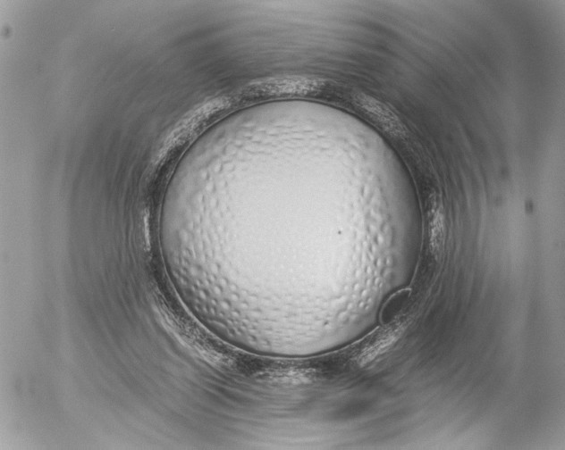 X0000052580254200507221550