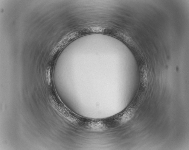 X0000052580262200507221551