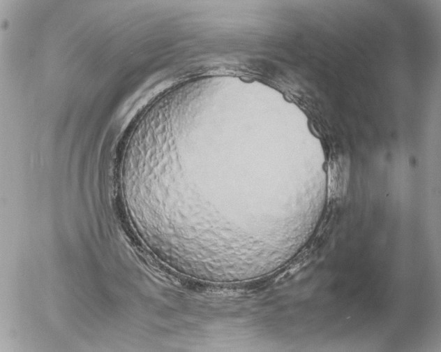 X0000052580291200507221550