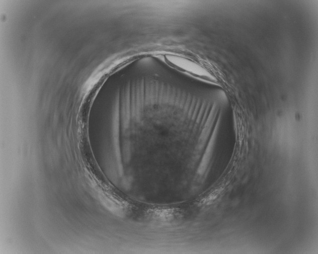 X0000052580295200507221550