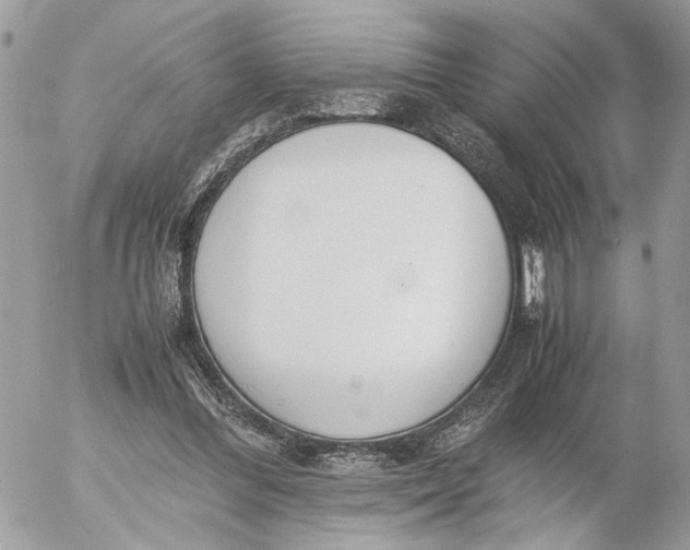 X0000052580300200507221550